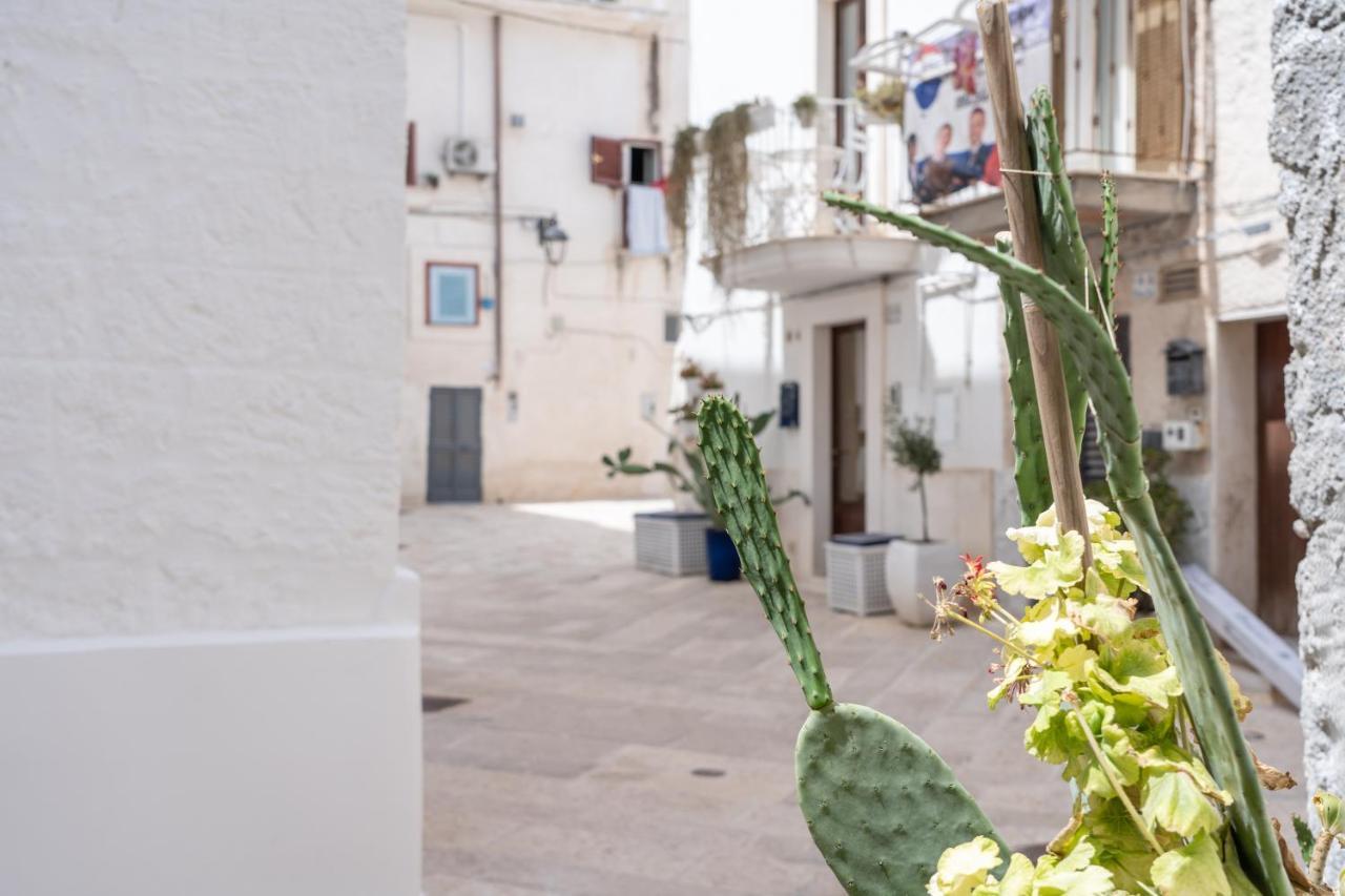Apartamento Wineart House, Terracielo Indipendente Nel Centro Di Monopoli Exterior foto